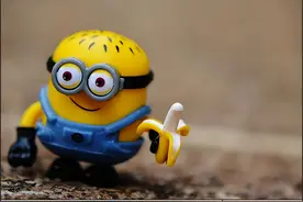 慌了！“真正的香蕉”已濒临灭绝图片