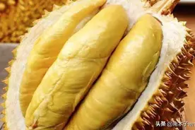 号称水果之王的榴莲，为什么能卖那么贵？它有啥非凡作用？图片