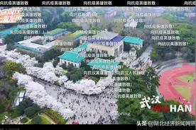 为抗疫英雄喝彩，为美好明天加油！斗鱼线上公益演唱会圆满落幕图片