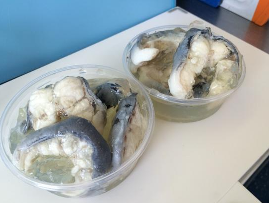 鳗鱼胶很腥吗 2026年鳗鱼胶很腥吗能吃吗