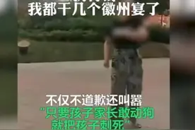 “徽州宴”老板娘侄儿发声：我二姨错就错在太富有，狗价值70万图片