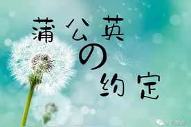 蒲公英的约定图片