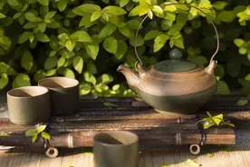 徐志摩《认识你真好》图片