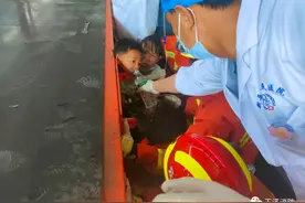 被折了的翅膀，要怎么飞翔？图片