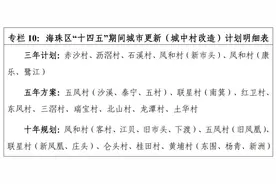 大变动！海珠湖旁3条村有新进展！5年内这8村都要改图片