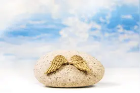 假期兼职送外卖到酒店，穿着睡袍的老婆开了门，她说：你要相信我图片