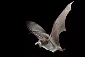 原创《一半》图片