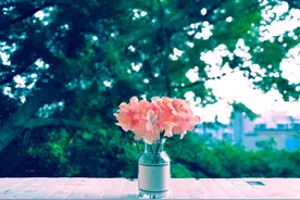 村上春树：这世间最折磨人的，就是站在原地，以为还回得去图片