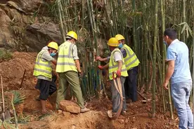 “宜长兴”百里翠竹示范带项目叙州区段即将全面完工图片
