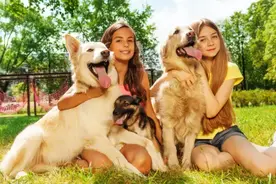 狗长大后为啥会与母亲繁殖，这是一种什么现象？专家给出答案图片