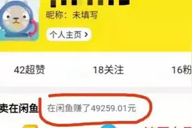 闲鱼如何赚钱？浅谈闲鱼赚钱之奥秘图片