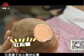 黄心薯红心薯傻傻分不清？挑选红薯应该注意以下事项！视频封面