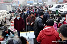 青岛早市人气爆棚，刚捞上岸的海货大量上市，10块钱一斤最畅销图片