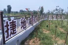 皇帝赐名，沧县捷地图片