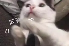 曲风清奇，“声”入人心！上海郊区防疫“大喇叭”广播你听过吗？图片