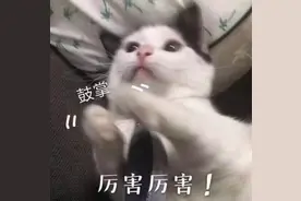 曲风清奇，“声”入人心！上海郊区防疫“大喇叭”广播你听过吗？图片