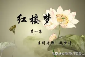 窦神大语文——四大名著考点解析之《红楼梦》共五集 魏梦琦图片