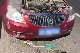 西瓜、大米、尿不湿还能灭火？图片