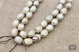 隐藏在我们身边的平民手串——五眼六通菩提子图片