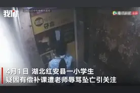 湖北一小学生疑遭教师辱骂后坠亡：回家时在电梯抹泪 官方成立调查组图片