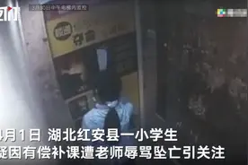 湖北一小学生疑遭教师辱骂后坠亡：回家时在电梯抹泪 官方成立调查组图片