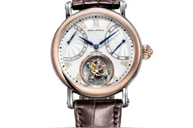 西铁城和海鸥哪个品牌比较好？机芯谁好？想买块表图片