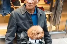 大爷带泰迪逛街，走累了在路边休息，泰迪的鞋子引起了路人的注意图片