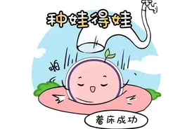 胚胎移植后要不要一直躺着，胚胎会掉出来吗？图片
