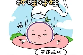 胚胎移植后要不要一直躺着，胚胎会掉出来吗？图片