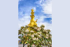 吃住行游购娱一网打尽，峨眉山“五一假期”官方旅游攻略请收下图片