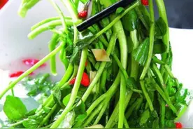 豆瓣菜是一种什么样的植物？图片