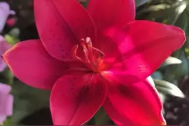 最好的日子不是惊艳不是繁华，而是远离喧嚣，邂逅一种安静的美好图片