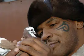 10位偶像人物，证明做自己喜欢的事永远不会太晚图片