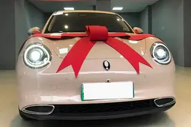 体验欧拉好猫：外观酷似甲壳虫，纯电501KM，价格真不贵图片