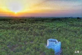 舒敏|由《黄河大移民》想到的图片