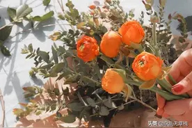 念念不忘，必有回响｜若无回应，爱情梦已醒，冷暖便自知,宜弃之图片