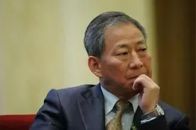中国狂人严介和：娶学生、推平700座山，儿子接下千亿帝国图片