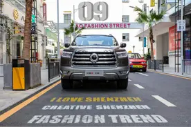 一年一检、15年报废，货车属性麻烦多，皮卡划归乘用车就一定好吗图片