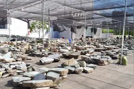 疫情持续，缅甸曼德勒玉石商人扛不住，开始向政府求助图片