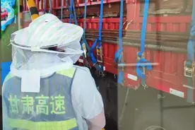 临清所清水收费站抵抗蜜蜂“威胁”图片