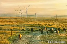 手机摄影一日一图┃怒拒假期“人从众”，小众秘境才值得去图片