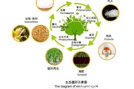 后石油时代的生物材料——聚乳酸（PLA）图片