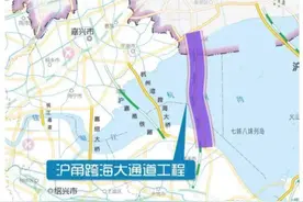 长三角核心区域之一——杭州湾新区图片