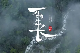 “好听好看到身上起鸡皮疙瘩”的MV 看《生命之歌》，听《万物生长》图片