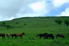 陕西最南端的秘境小城：被称为小神农架，连接三省风景堪称一绝图片