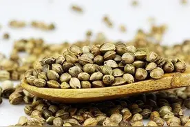 悠香的麻子图片