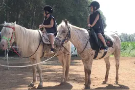 “花乡小镇”游玩新去处——兴安马苑圆你策马奔腾的梦想……图片