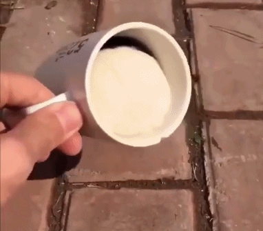 鑷敺浜鸿濡備綍娲楃櫧锛? onerror=