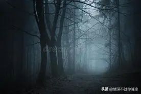 未解之谜———离奇消失的村庄图片
