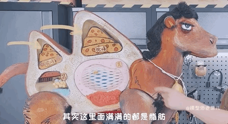 骆驼的驼峰竟然不是用来存水的？那它靠啥在沙漠里笑嘻嘻？
